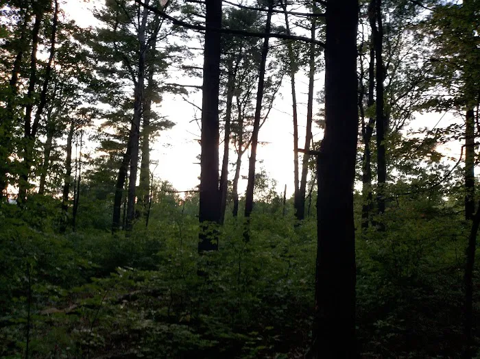 Washington/Jefferson National Forest - campsite Picture 8