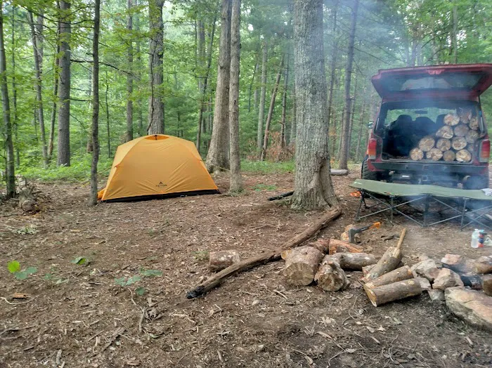 Washington/Jefferson National Forest - campsite Picture 5