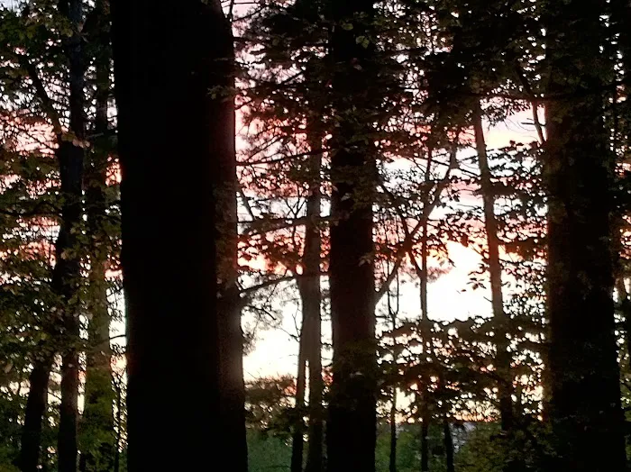 Washington/Jefferson National Forest - campsite Picture 9