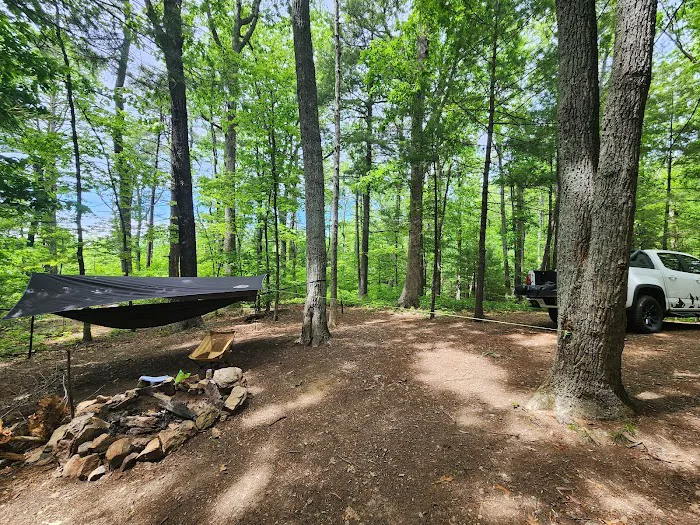 Washington/Jefferson National Forest - campsite Picture 6