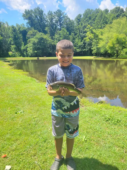 Lynchburg KOA Picture 4