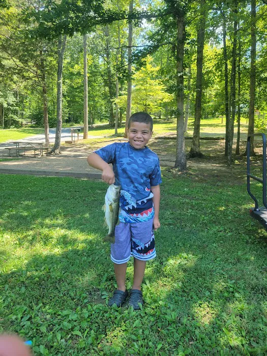 Lynchburg KOA Picture 6