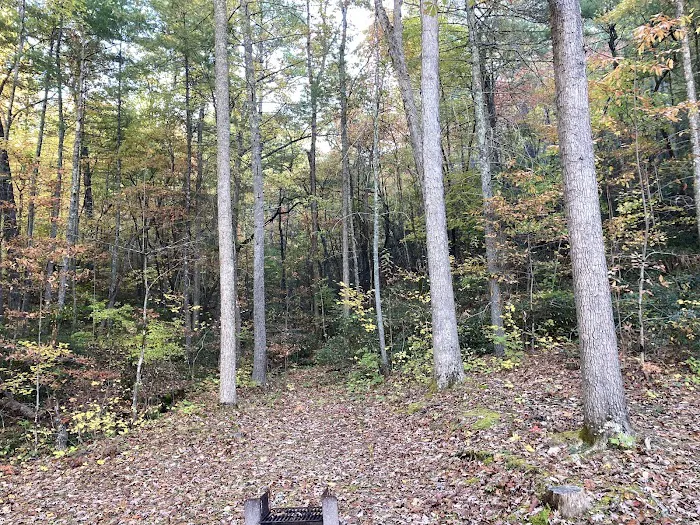 Otter Creek Campground Picture 3