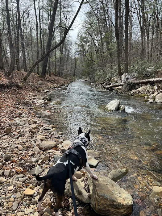 Otter Creek Campground Picture 4