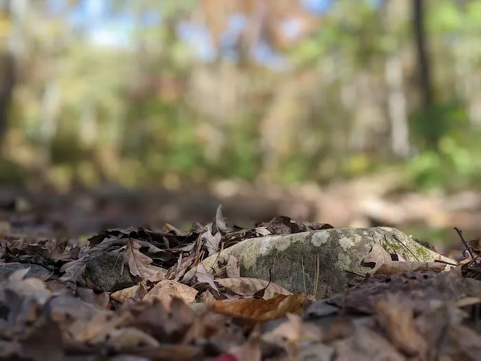 Otter Creek Campground Picture 8