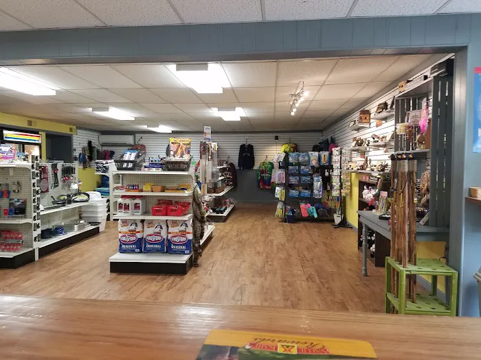 Natural Bridge / Lexington KOA Holiday Picture 8