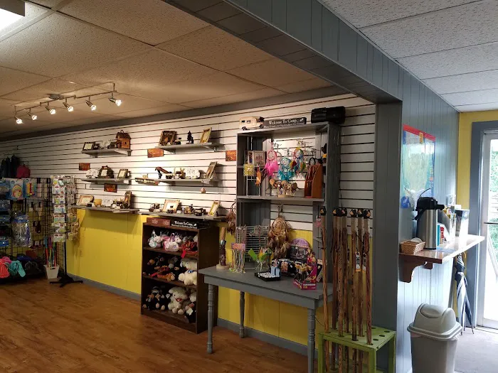 Natural Bridge / Lexington KOA Holiday Picture 4