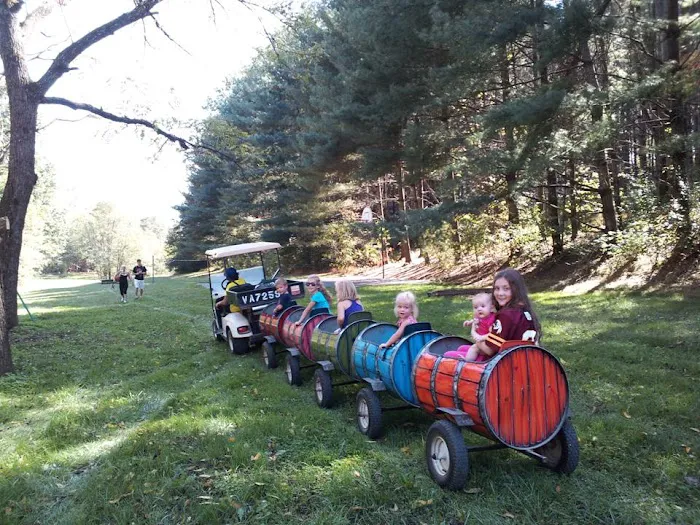 Natural Bridge / Lexington KOA Holiday Picture 7