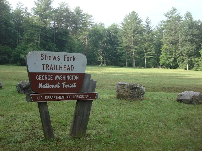 Shaws Fork Equestrian Campground Picture 2