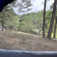 Historic Cold Sulphur Springs Campground ico