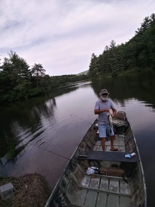 Historic Cold Sulphur Springs Campground Picture 5