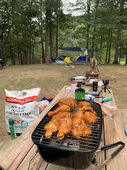 Historic Cold Sulphur Springs Campground Picture 4