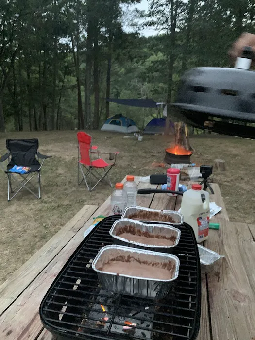 Historic Cold Sulphur Springs Campground Picture 3