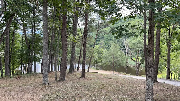 Historic Cold Sulphur Springs Campground Picture 2