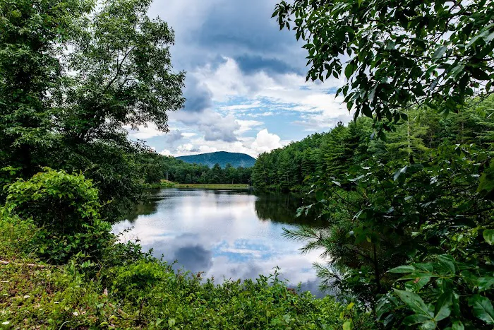 Historic Cold Sulphur Springs Campground Picture 7
