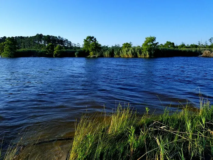 North Landing Beach Campground Picture 5