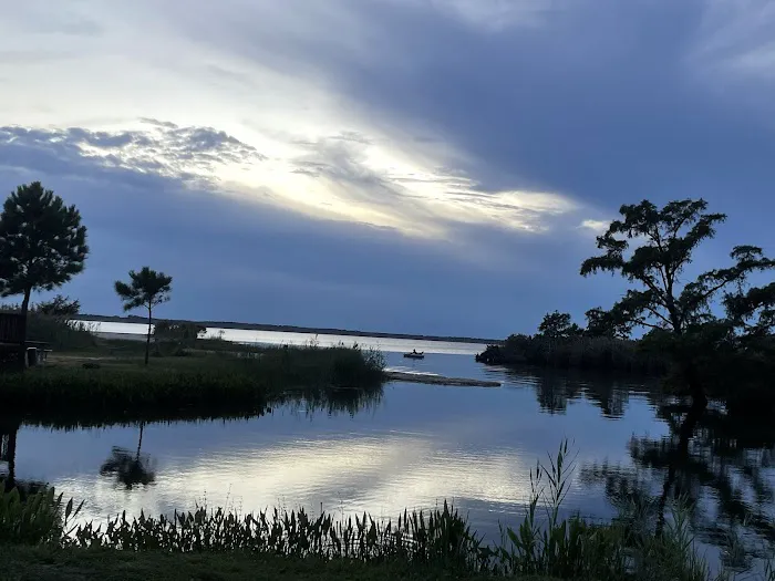 North Landing Beach Campground Picture 4