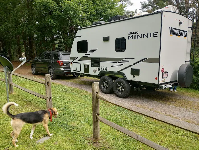 Camper Rental Picture 8