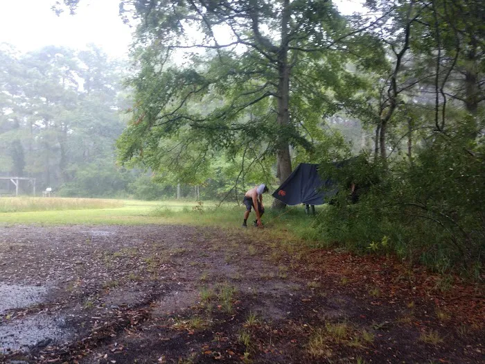 False Cape - Bay sites 10-12 Picture 2