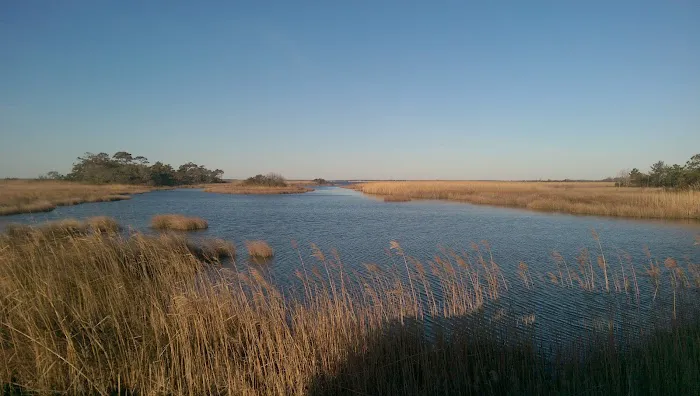 False Cape - Bay sites 10-12 Picture 7