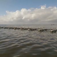 False Cape - Bay sites 10-12 ico