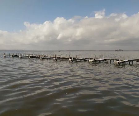 False Cape - Bay sites 10-12