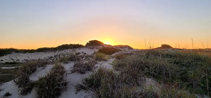 Barbour Hill Ocean Campground Picture 1