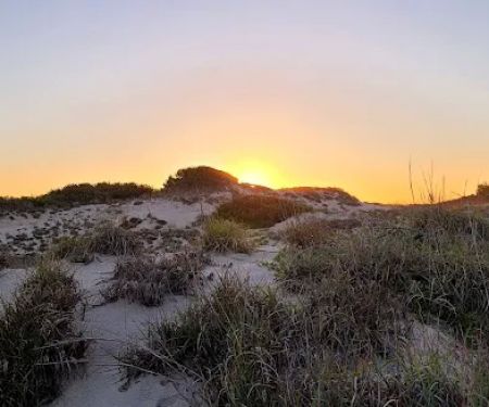 Barbour Hill Ocean Campground
