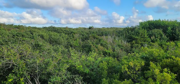 Barbour Hill Ocean Campground Picture 5