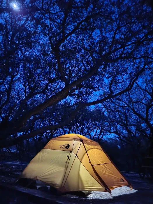 Barbour Hill Ocean Campground Picture 7