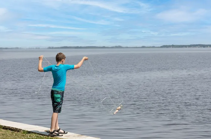 Outer Banks West / Currituck Sound KOA Holiday Picture 9