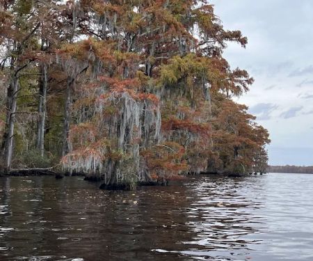 Holladay Island East