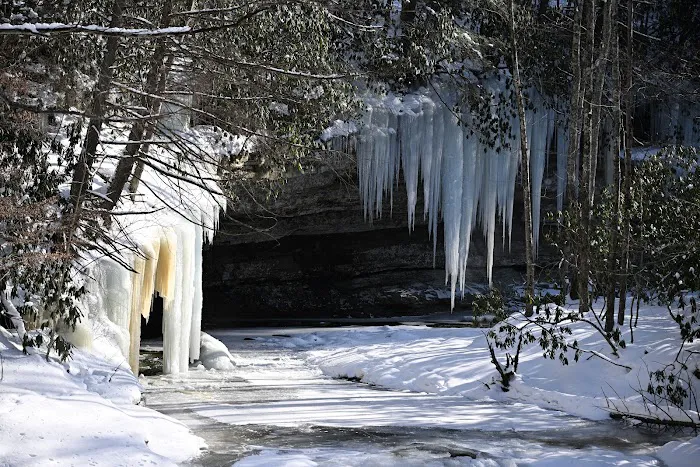 Swallow Rock Campground Picture 4