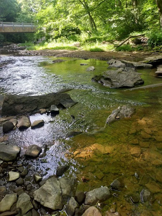 Swallow Rock Campground Picture 7