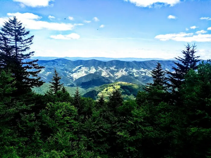 Swallow Rock Campground Picture 3