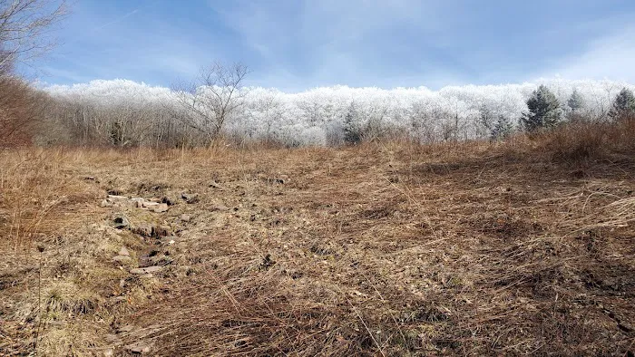 Swallow Rock Campground Picture 6