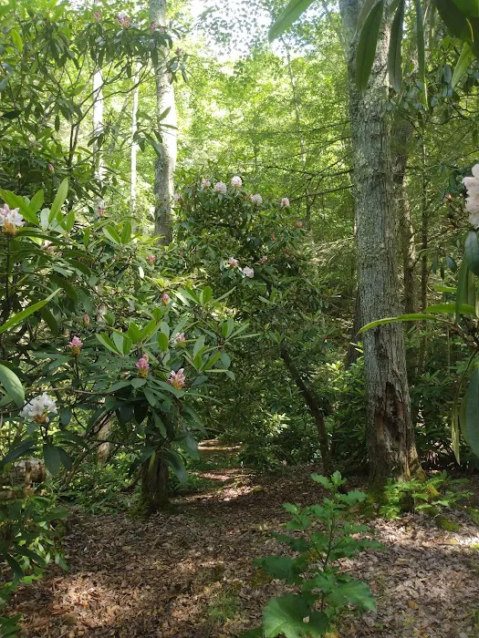Swallow Rock Campground Picture 8