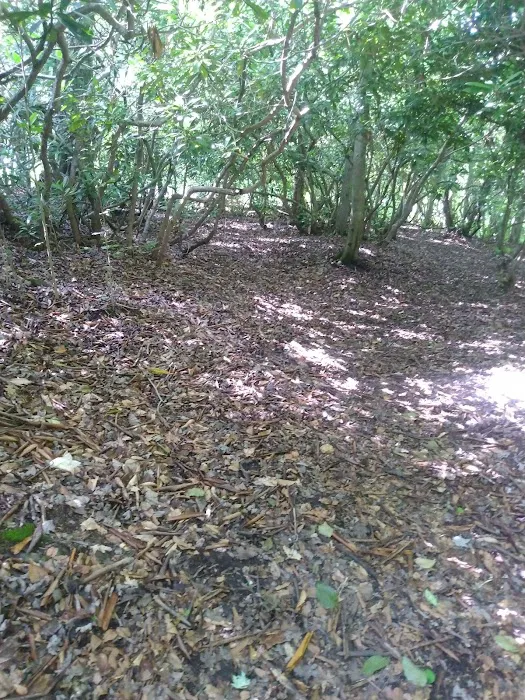 Swallow Rock Campground Picture 9