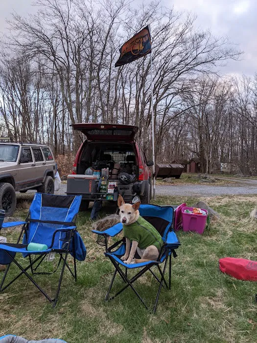 Gatewood Group Campground Picture 8