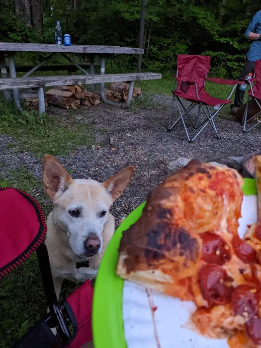 Gatewood Group Campground Picture 2