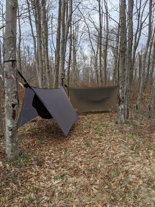 Gatewood Group Campground Picture 3