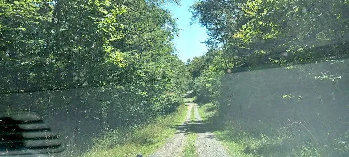 Gatewood Group Campground Picture 10