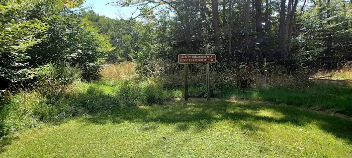 Gatewood Group Campground Picture 6