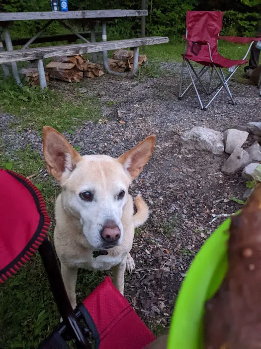 Gatewood Group Campground Picture 1