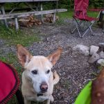 Gatewood Group Campground