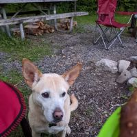 Gatewood Group Campground ico