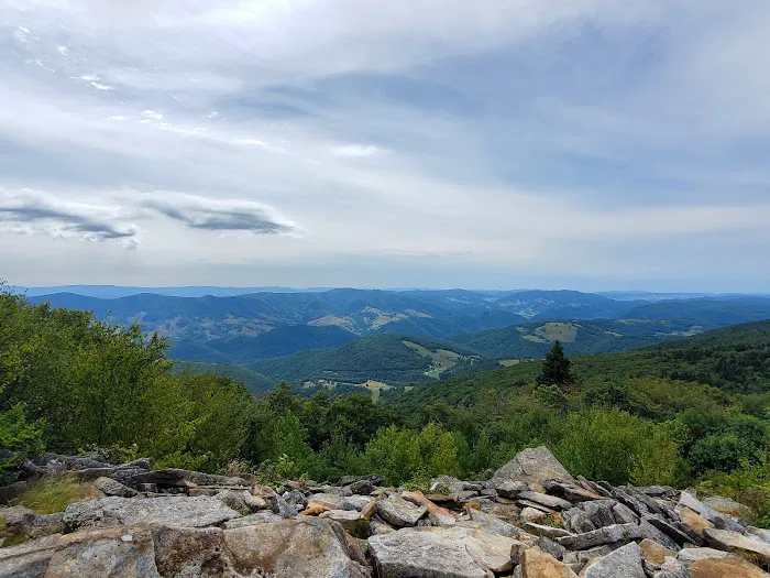 Spruce Knob Lake Campground Picture 4