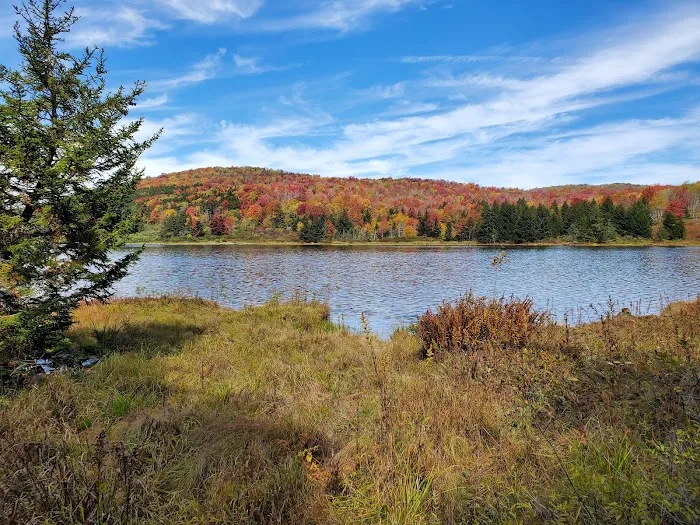 Spruce Knob Lake Campground Picture 2