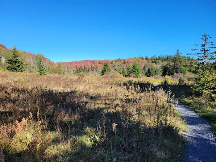Spruce Knob Lake Campground Picture 8