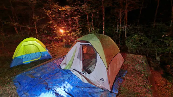 Spruce Knob Lake Campground Picture 1